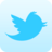 Twitter logo resized down to one-third